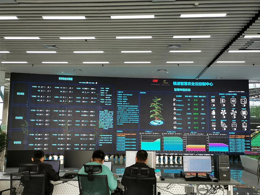 智慧農業新典范 走進比工廠更干凈的智能農場